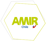 Curso-MIR-Chile-Cursos-MIR-Internacional-AMIR