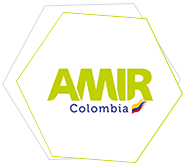 Curso-MIR-Colombia-Cursos-MIR-Internacional-AMIR