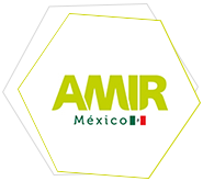 Curso-MIR-México-Cursos-MIR-Internacional-AMIR