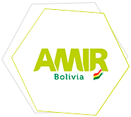Curso-MIR-Bolivia-Cursos-MIR-Internacional-AMIR